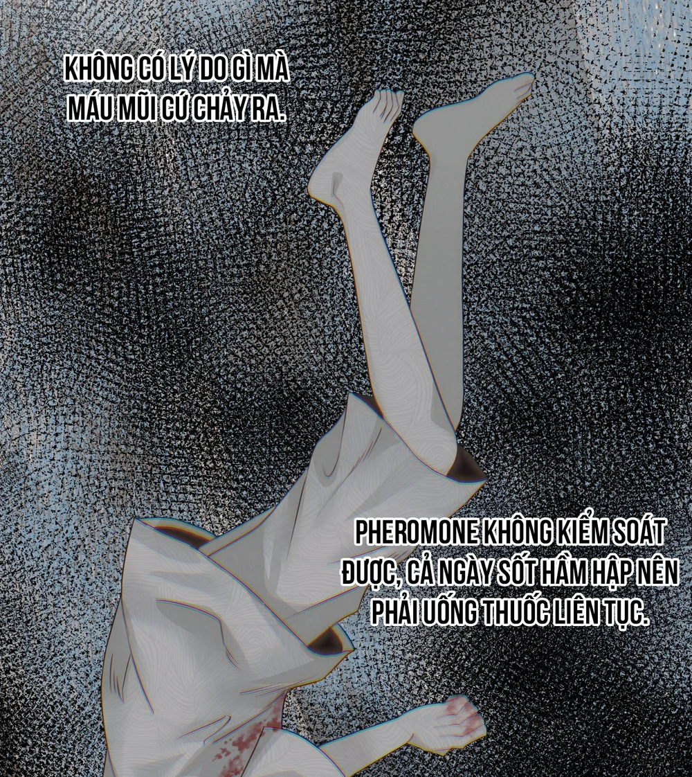 Chúa ơi, ngài muốn con đi đâu? Chapter 15 H+ - Next 