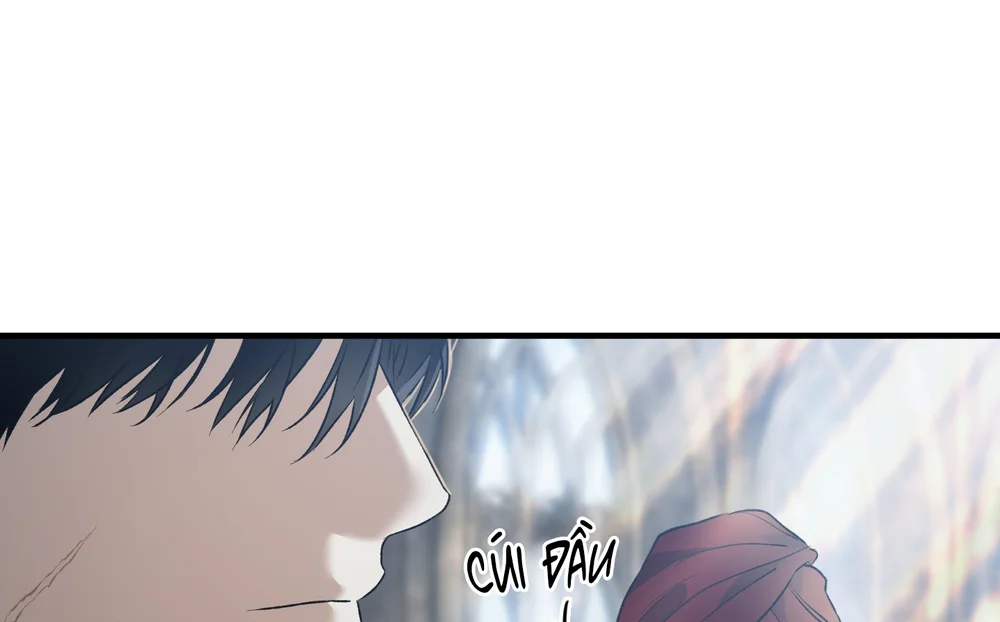 Con đường hoa trong đêm trắng Chapter 13 - Next 