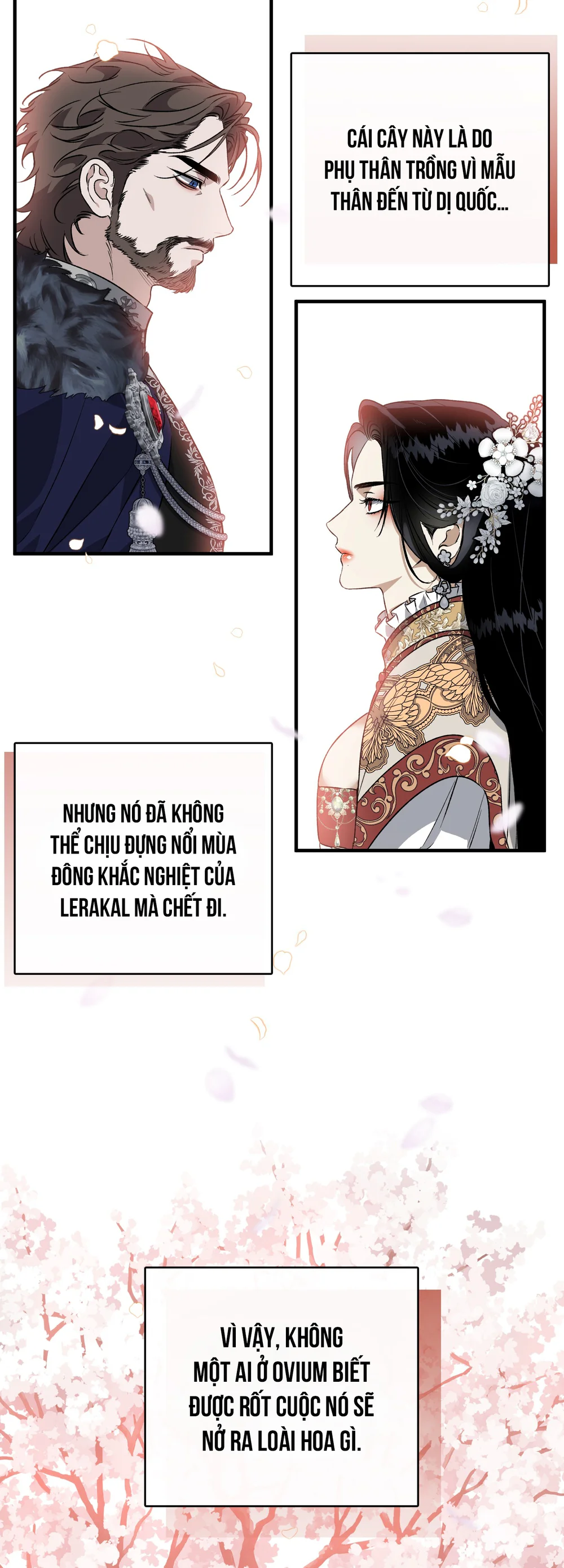 Con đường hoa trong đêm trắng Chapter 13 - Next 