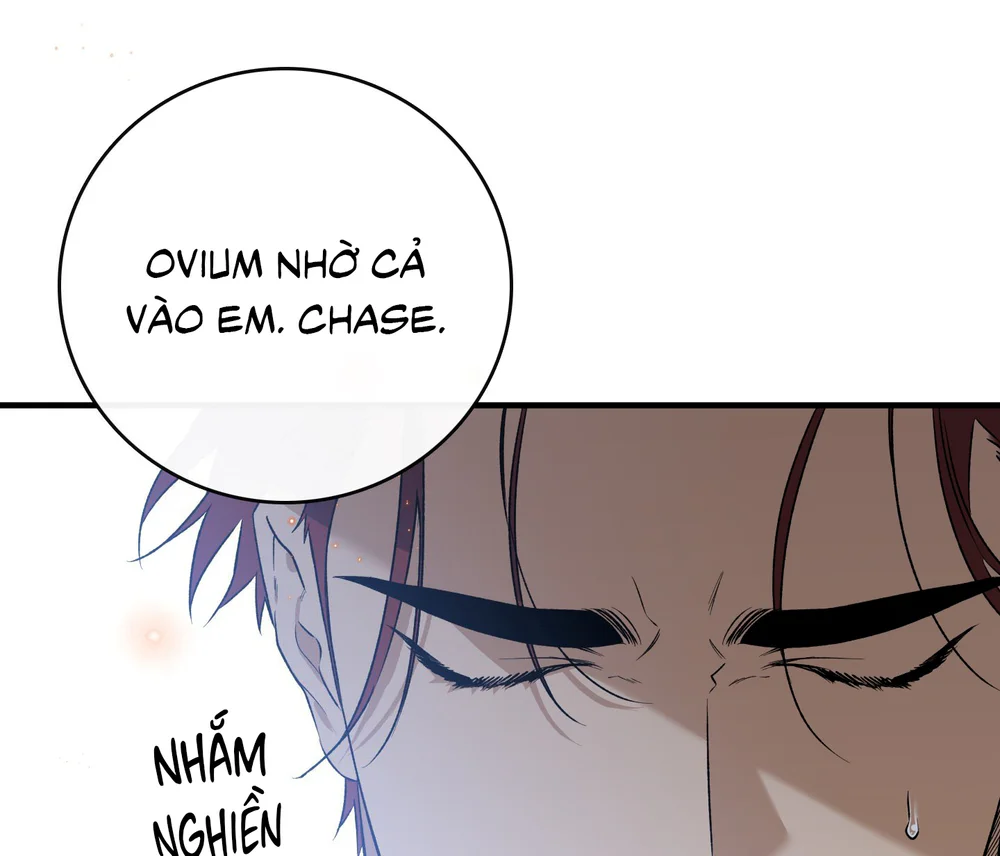 Con đường hoa trong đêm trắng Chapter 13 - Next 