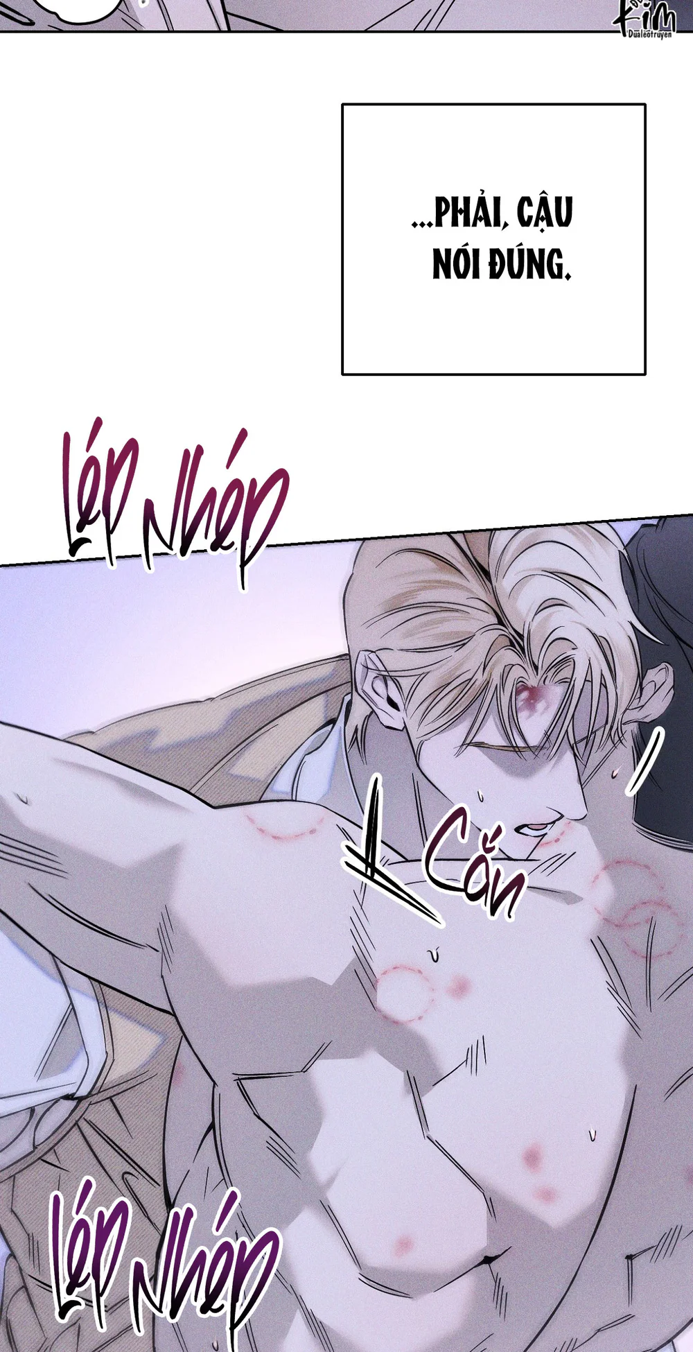 BỂ TÌNH Chapter 8 - Next 