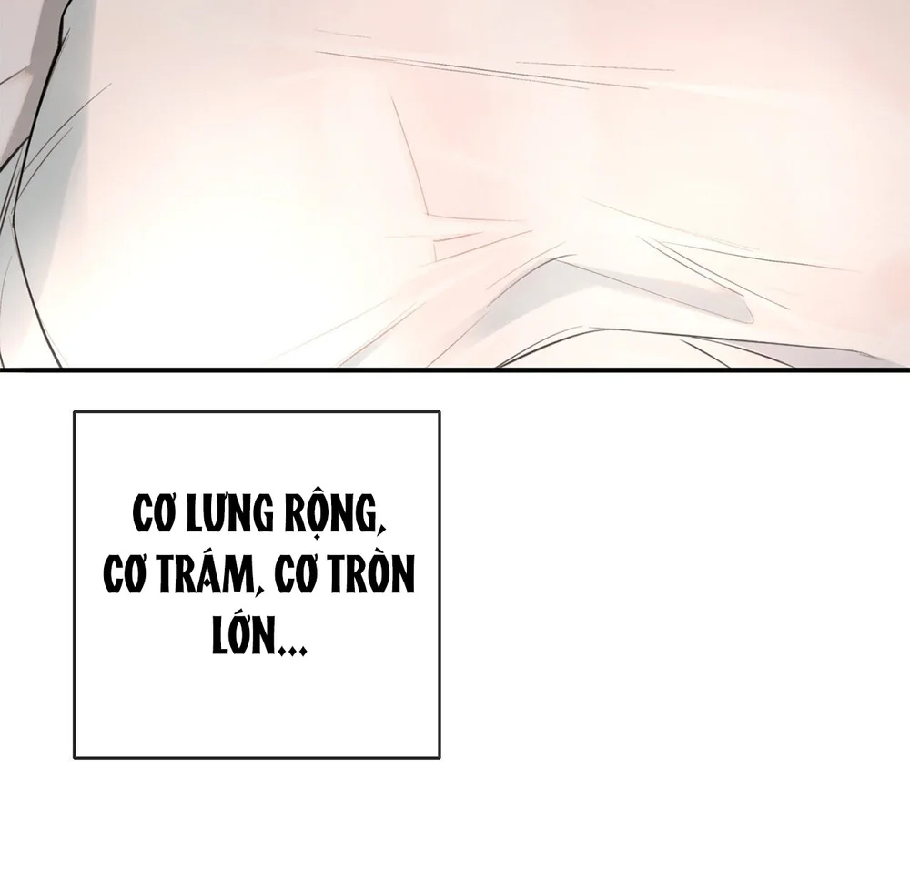 (ABO) DASH Chapter 29 - Next 