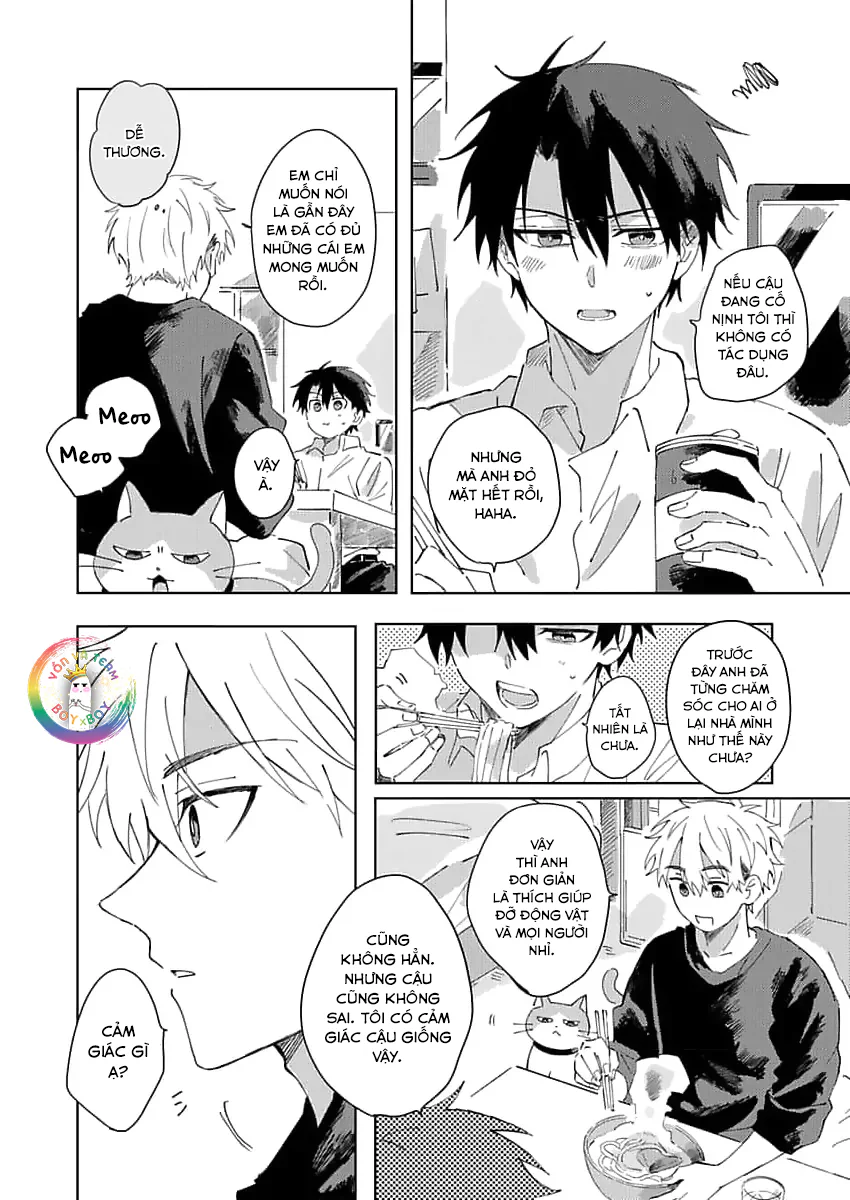 Nhặt Được Một Em Mèo Và Một Cậu Trai Chapter 2 - Next 