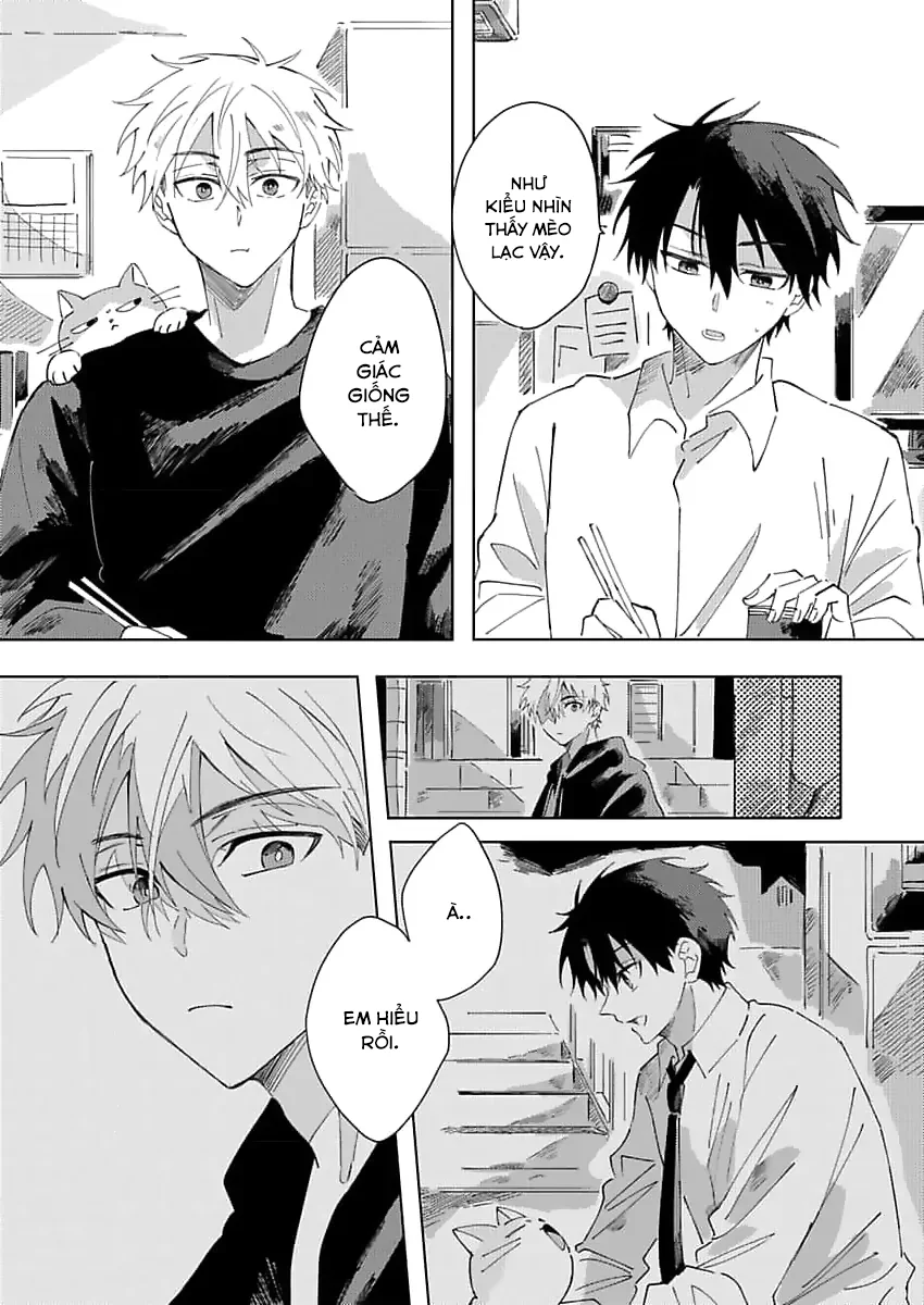 Nhặt Được Một Em Mèo Và Một Cậu Trai Chapter 2 - Next 
