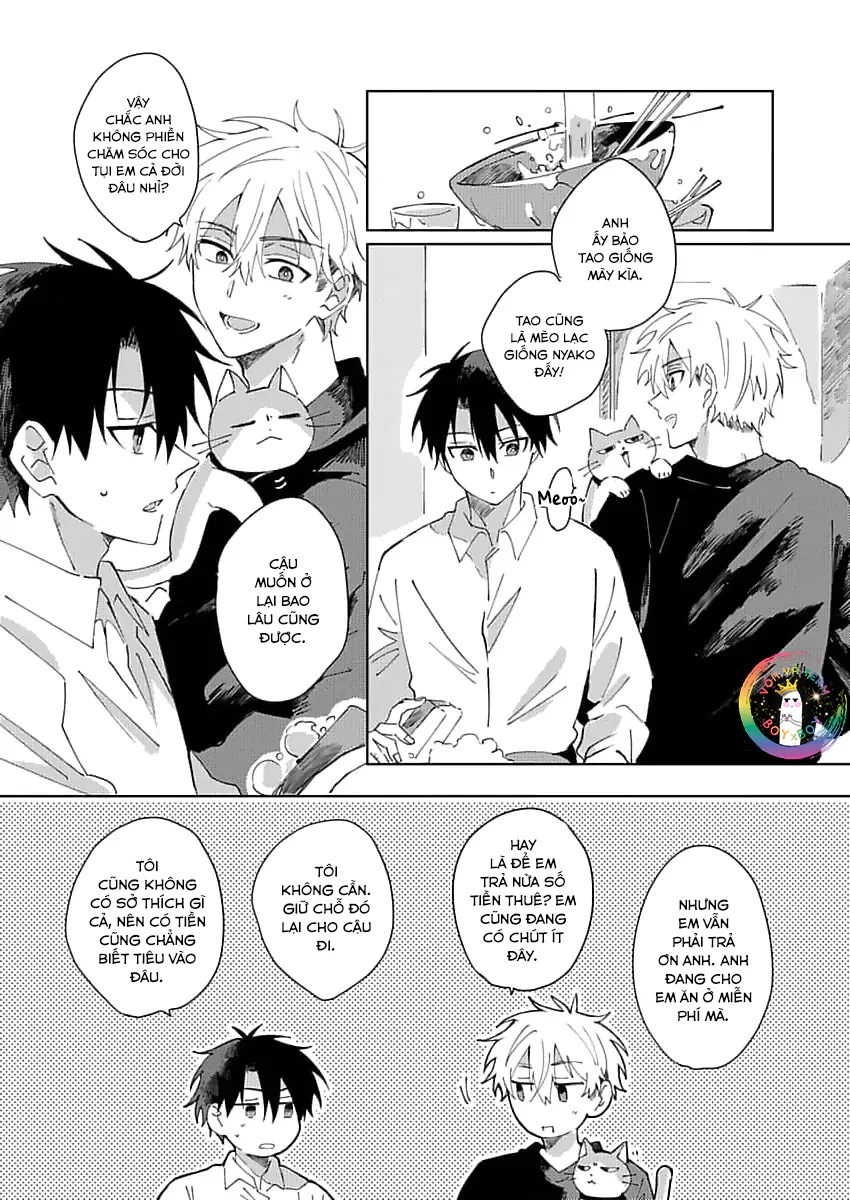 Nhặt Được Một Em Mèo Và Một Cậu Trai Chapter 2 - Next 
