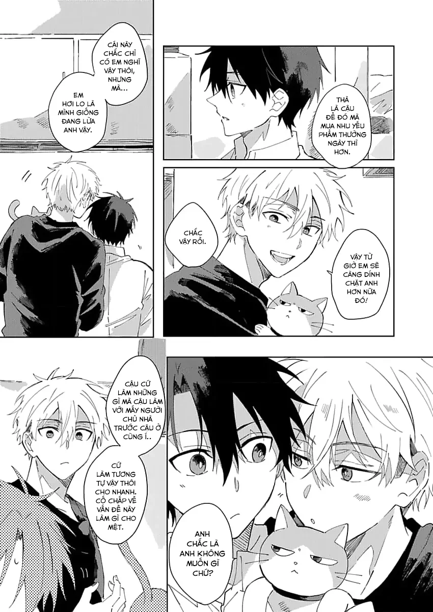 Nhặt Được Một Em Mèo Và Một Cậu Trai Chapter 2 - Next 