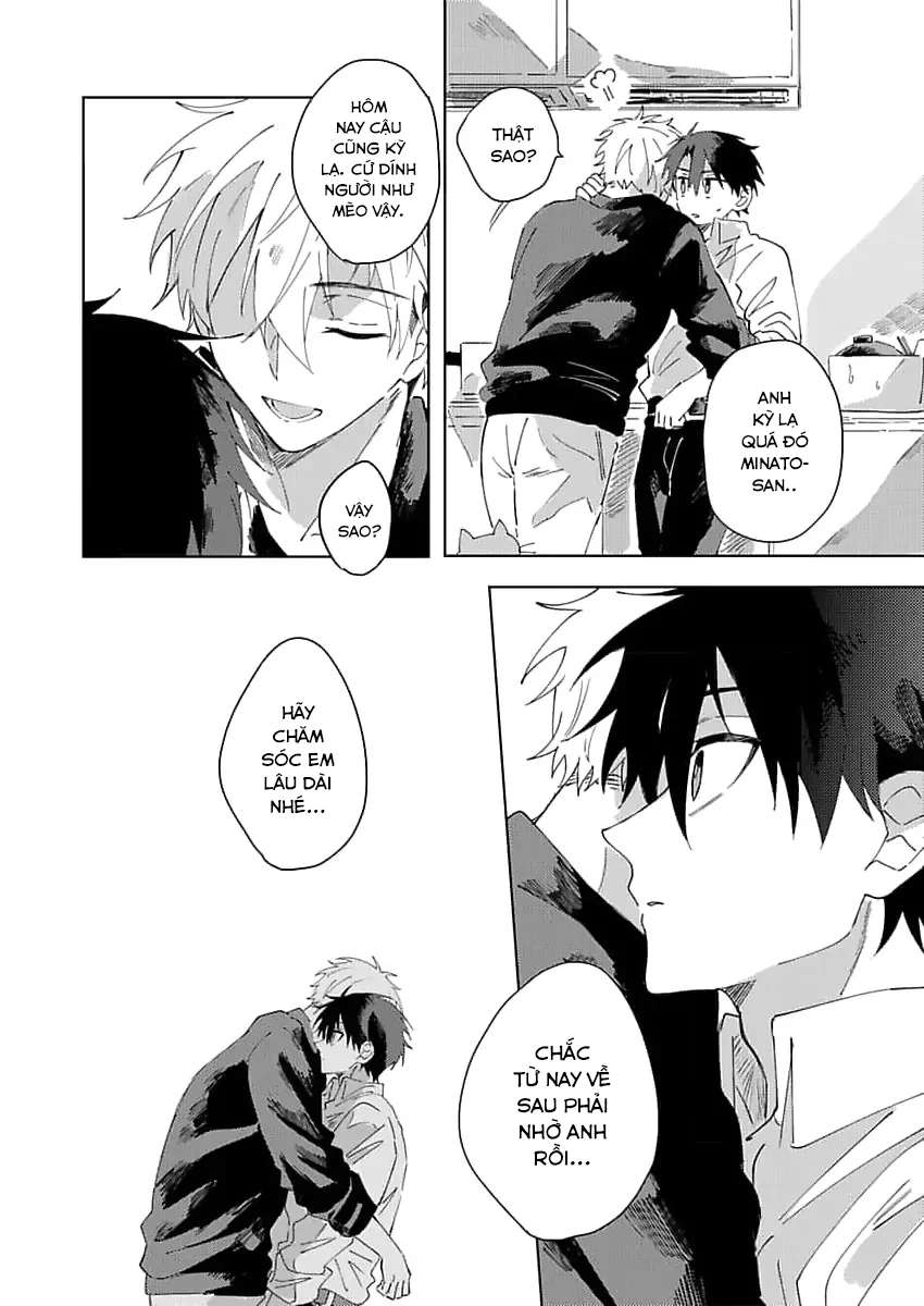 Nhặt Được Một Em Mèo Và Một Cậu Trai Chapter 2 - Next 