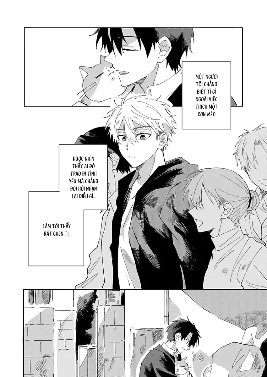 Nhặt Được Một Em Mèo Và Một Cậu Trai Chapter 2 - Next 