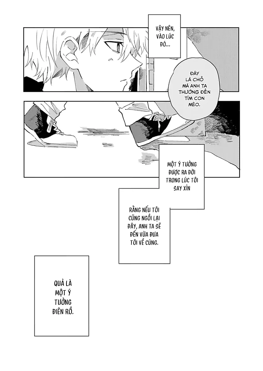 Nhặt Được Một Em Mèo Và Một Cậu Trai Chapter 2 - Next 