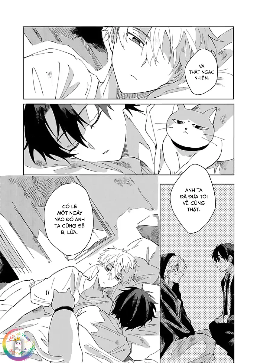 Nhặt Được Một Em Mèo Và Một Cậu Trai Chapter 2 - Next 