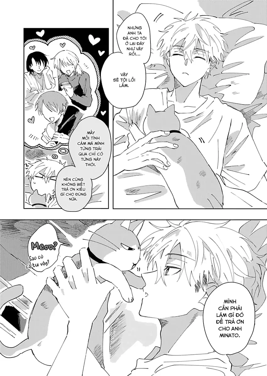 Nhặt Được Một Em Mèo Và Một Cậu Trai Chapter 2 - Next 