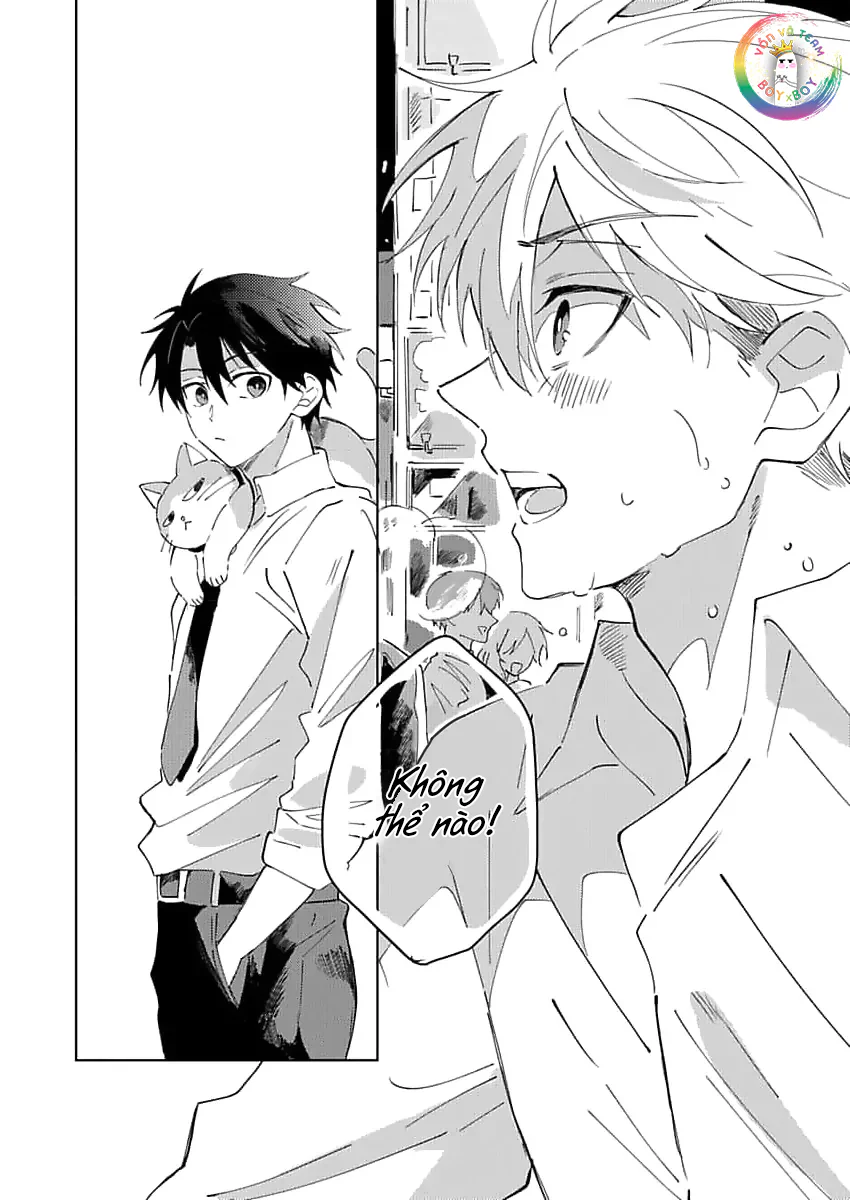 Nhặt Được Một Em Mèo Và Một Cậu Trai Chapter 2 - Next 