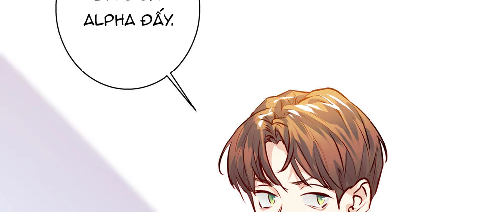 Love is an illusion! Superstar Chapter 33 - Next 