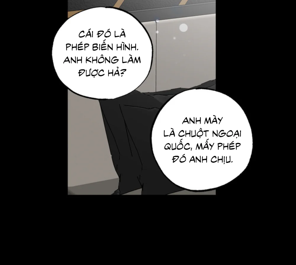 XIN HÃY YÊU THƯƠNG DÙ TÔI LÀ CHUỘT Chapter 21 - Next 