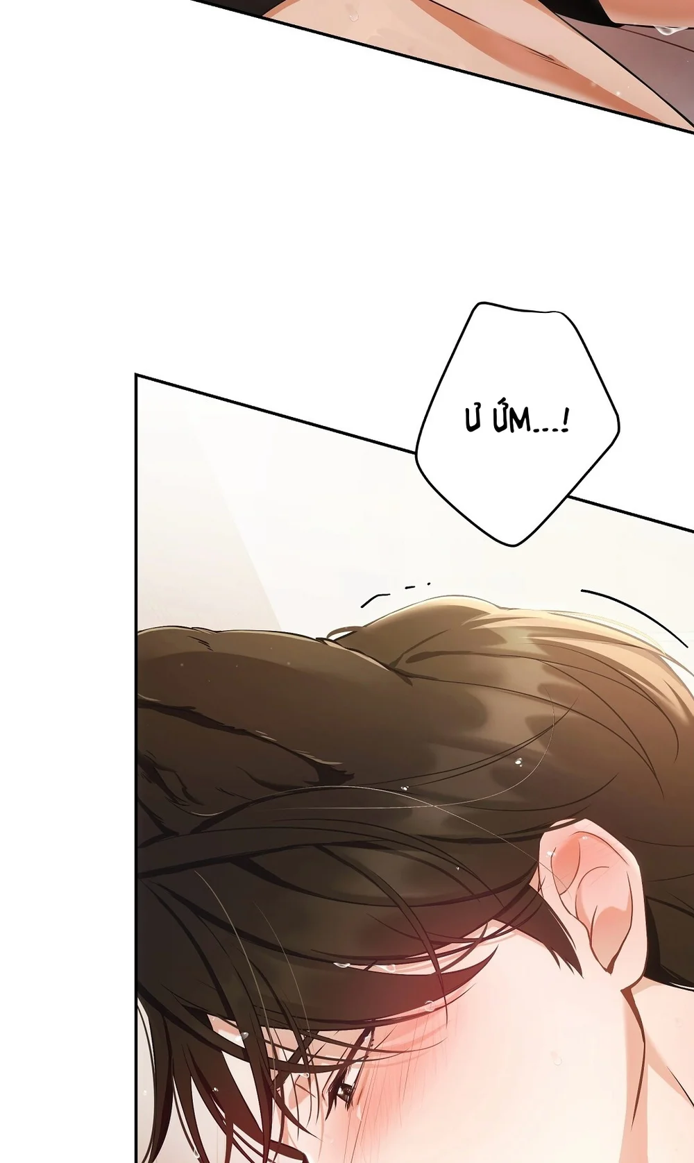 LIỆU PHÁP MÈO Chapter 17 - Next 