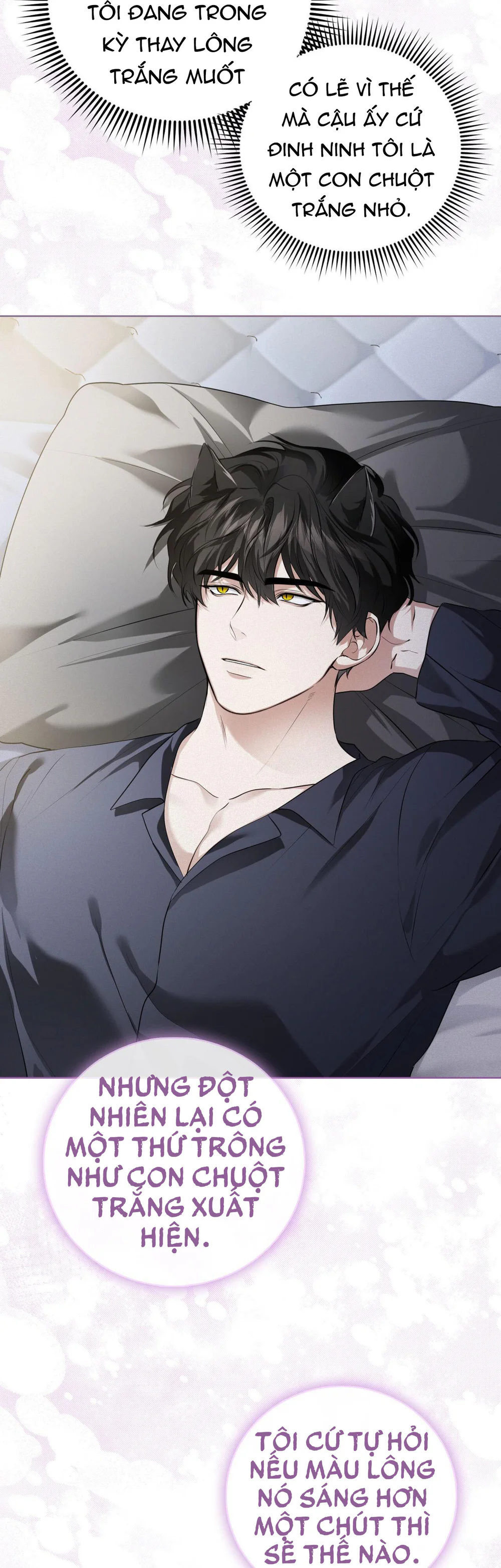 Cảnh báo: có thú dữ kìa Chapter 17 - Next Chapter 18