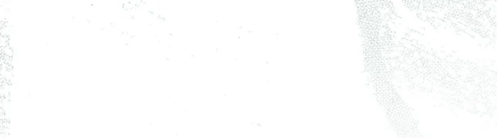 KẺ VÔ LẠI Chapter 32 - Next 