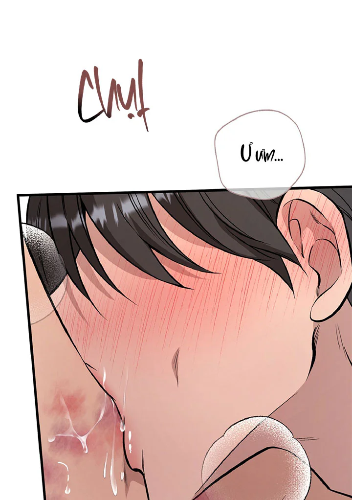 HONEY BEAR Chapter 87 - Next 