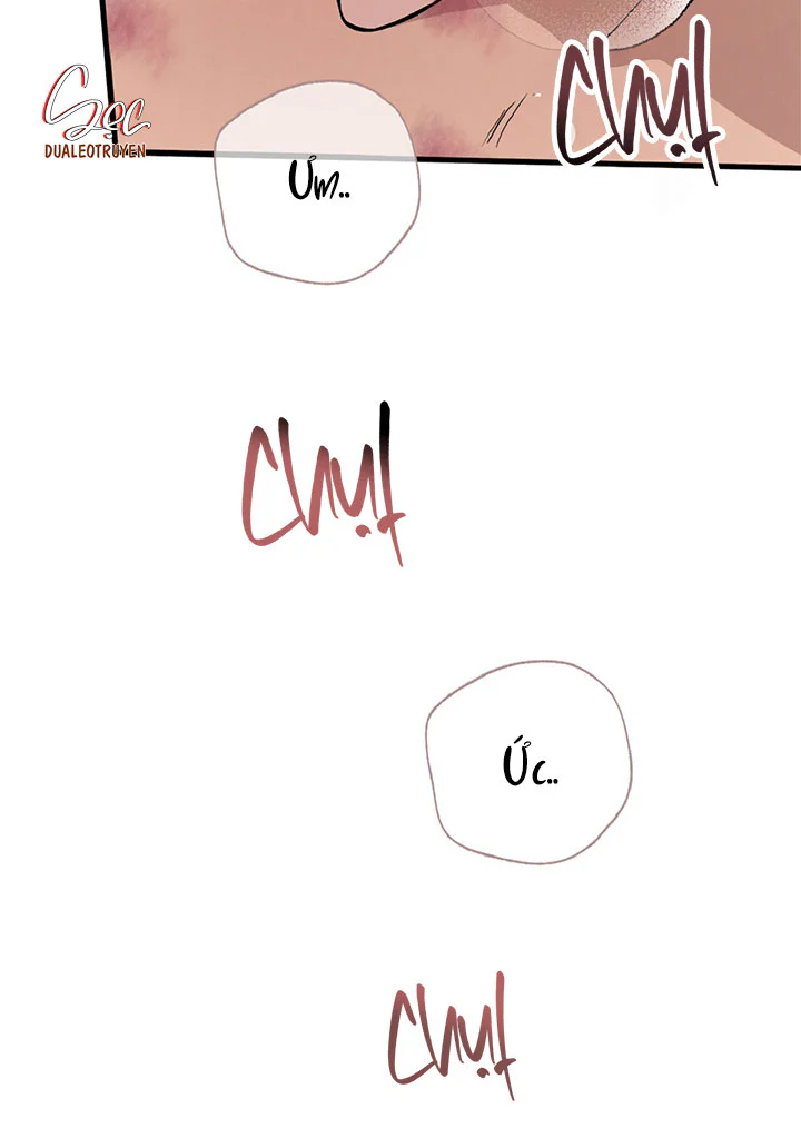 HONEY BEAR Chapter 87 - Next 