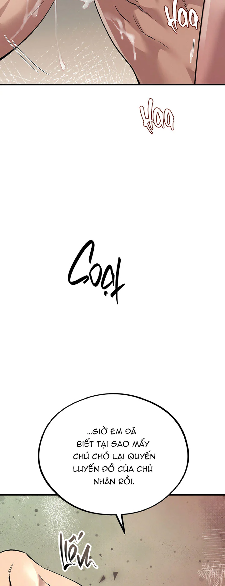 HONEY BEAR Chapter 87 - Next 