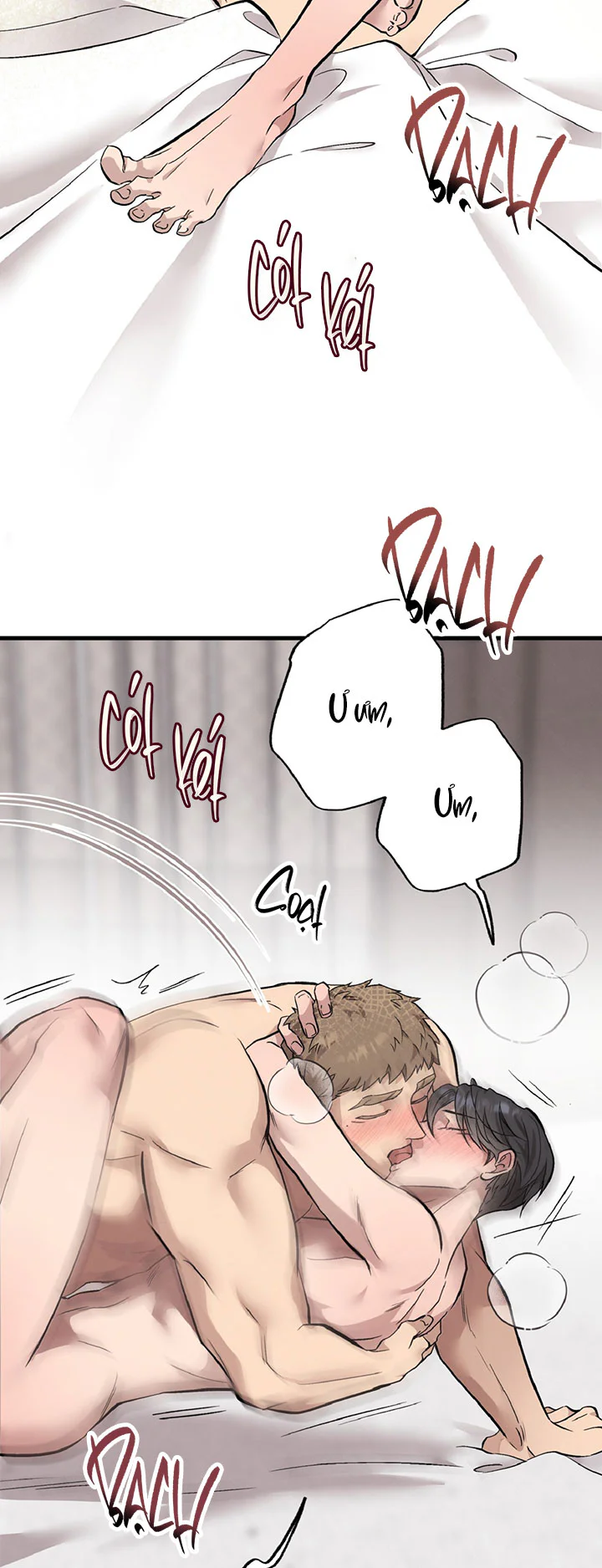 HONEY BEAR Chapter 87 - Next 