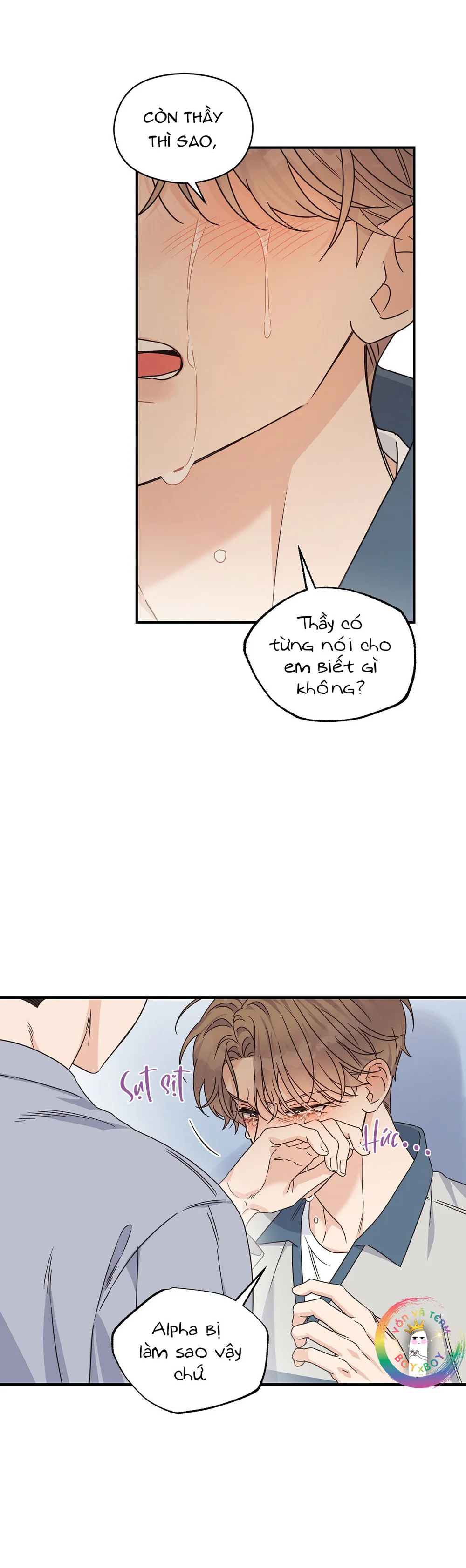✿ Vết Thương Alpha ✿ Chapter 31 - Next 