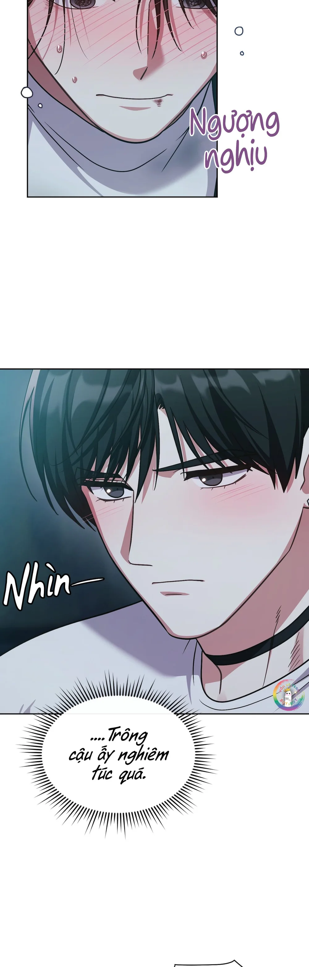 Dù Không Phải Guide Định Mệnh Của Cậu Chapter 36 - Next 