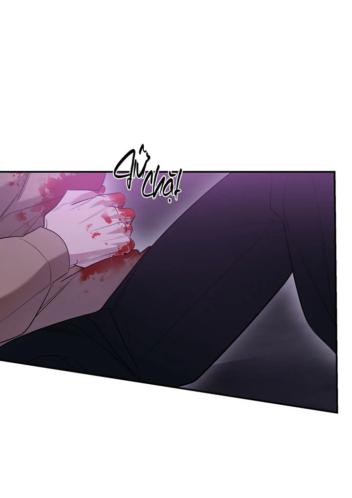 LỆNH CỨU RỖI Chapter 95 - Next 