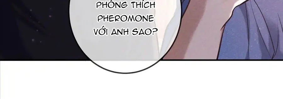 Cạn Tình Chapter 82 - Next 