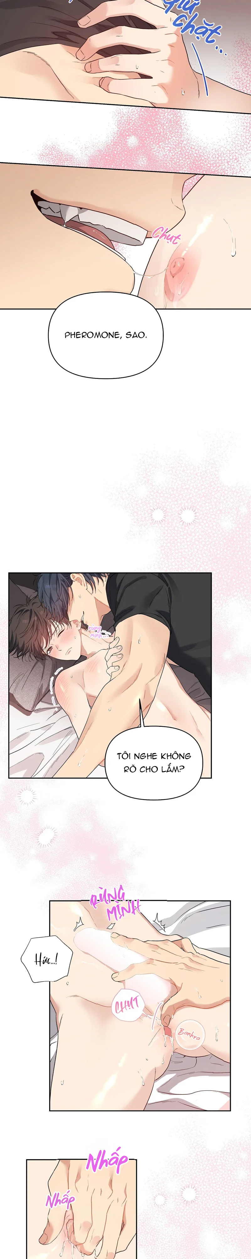 Hoa Anh Đ ào    Chapter 44 - Next 