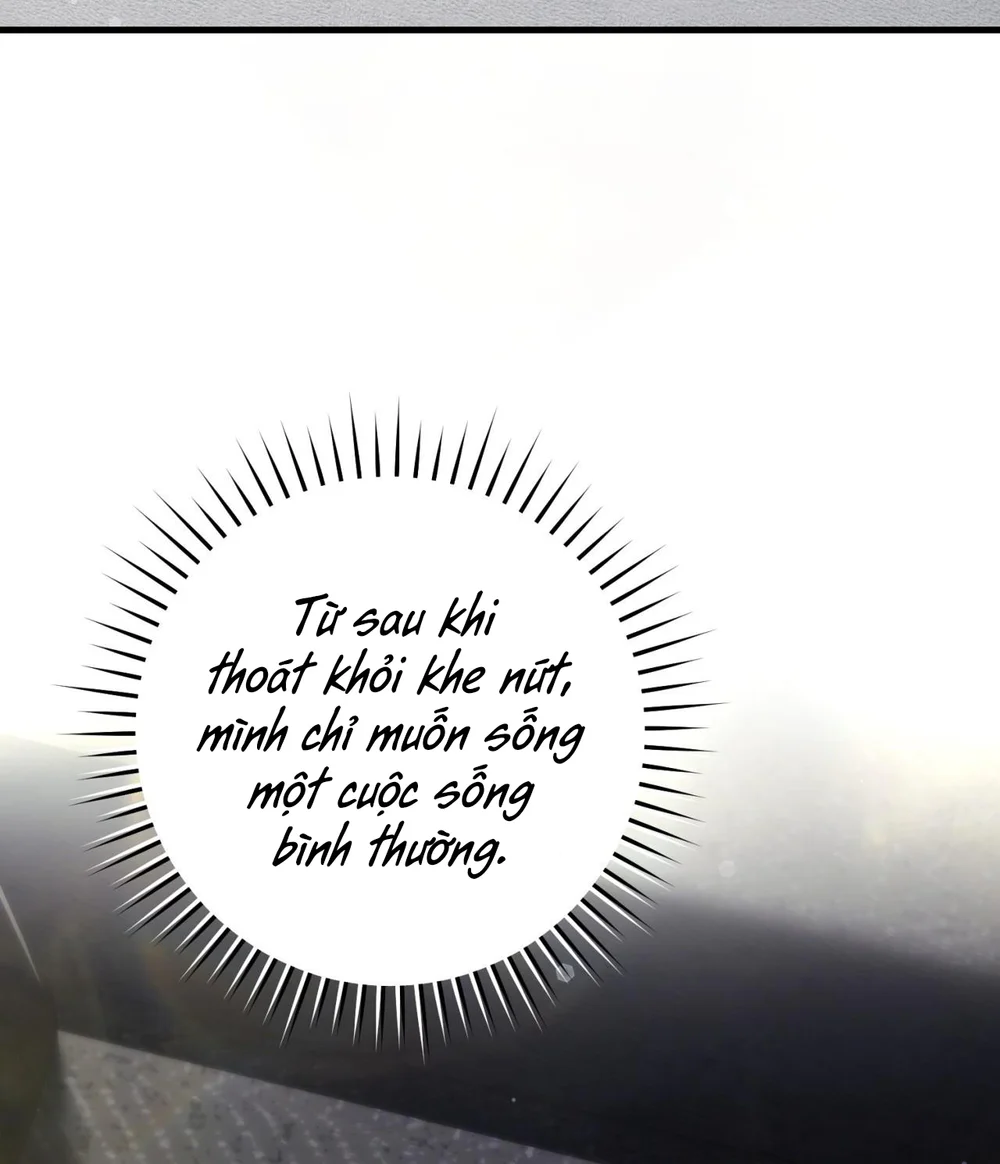 Thợ Săn Chỉ Muốn Ở Ẩn Chapter 33 - Next Chapter 34