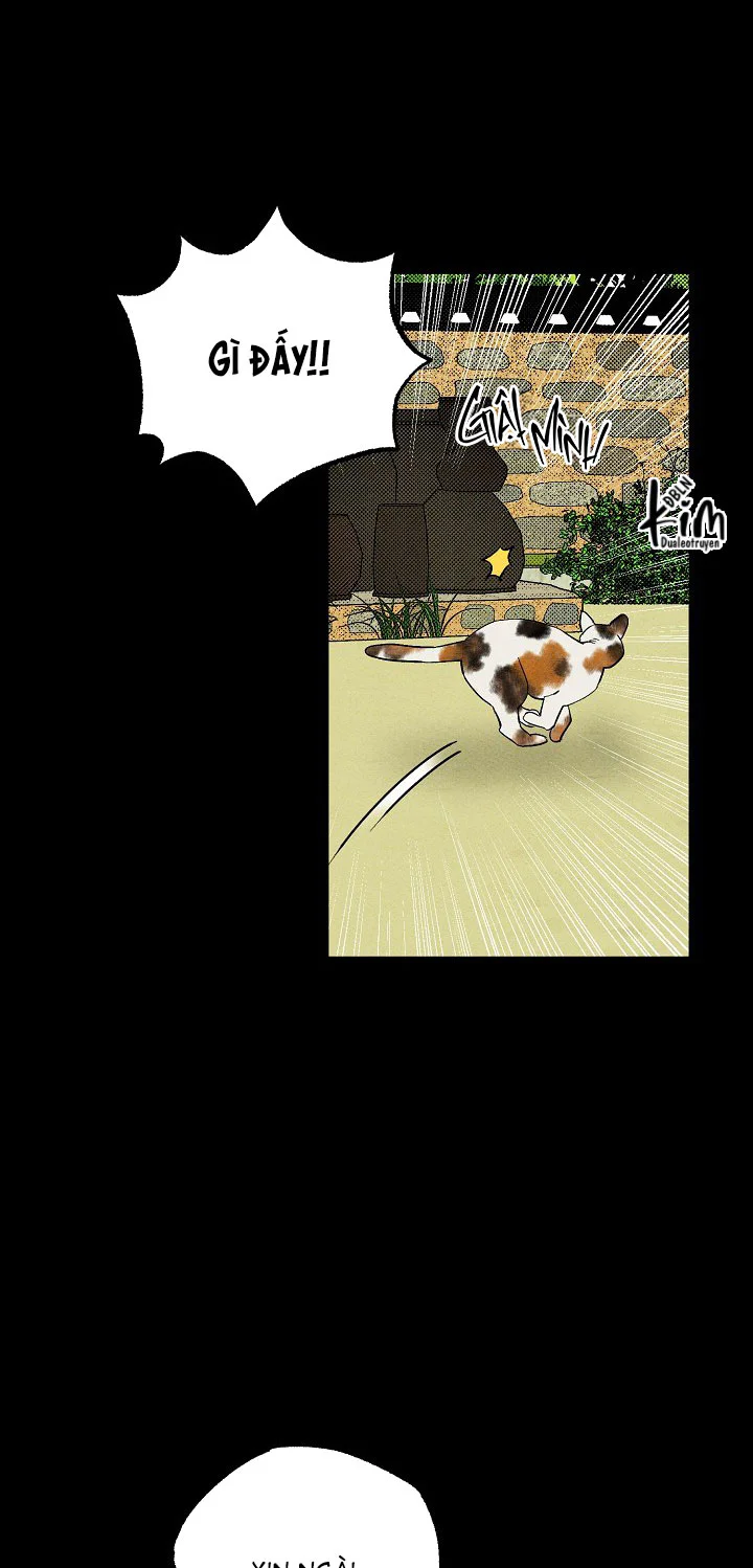 BL CỔ TRANG-ÂU CỔ NGẮN NHÀ KIM Chapter 46.3 cu gáy 3 - Next 