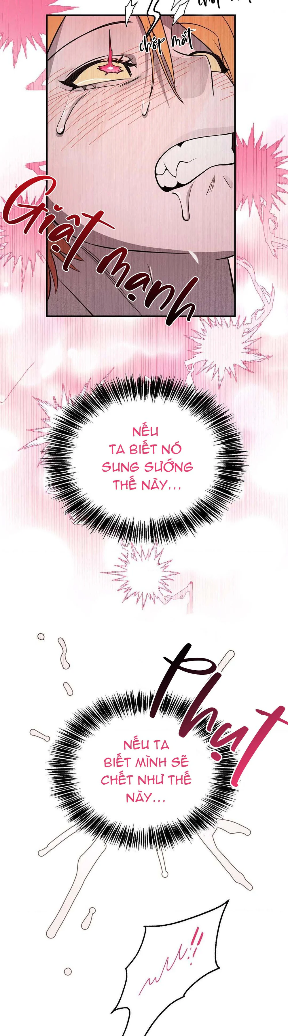 Nguyện Ở Lại Trong Bóng Tối Chapter 5 H - Next 