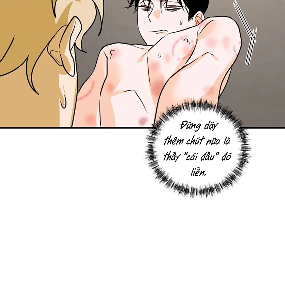 Day 8 Chapter 8 - Next Chapter 9