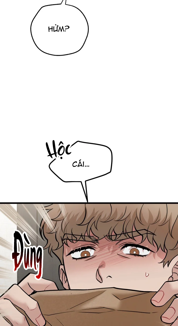 HƯỚNG DẪN BDSM CƠ BẢN Chapter 28 - Next Chapter 29