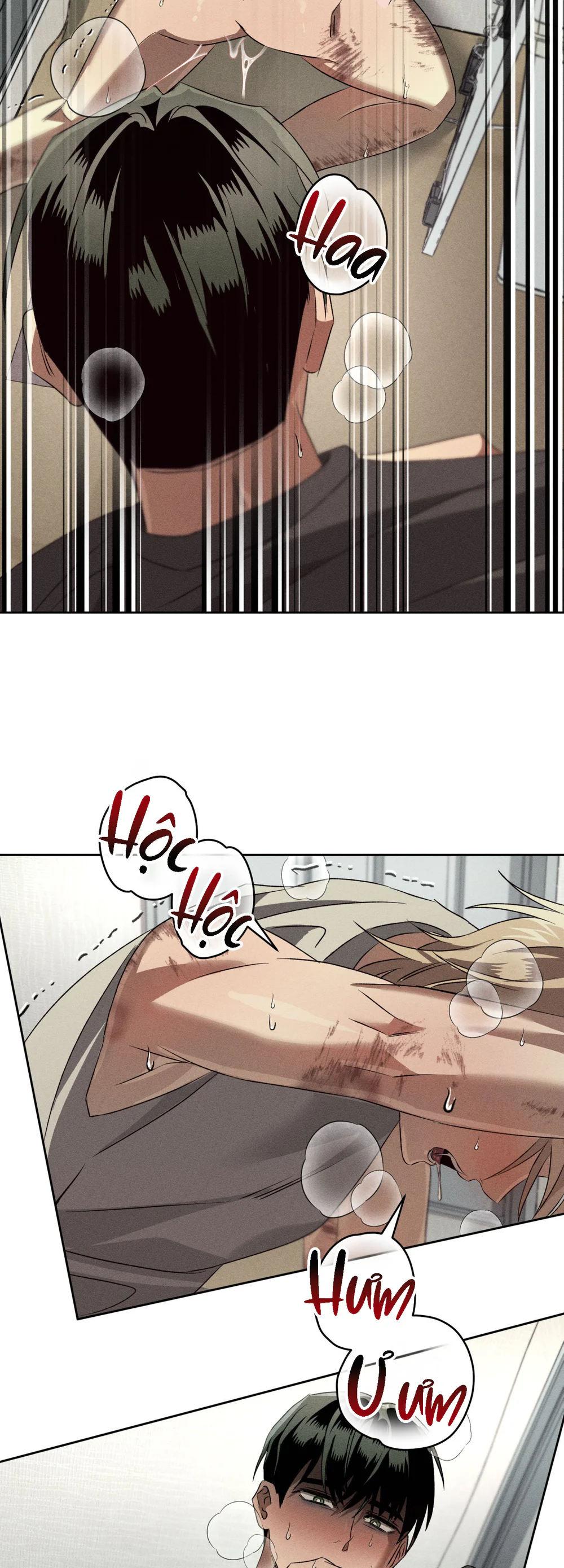 ANH EM TƯƠNG TÀN Chapter 12 - Next Chapter 13