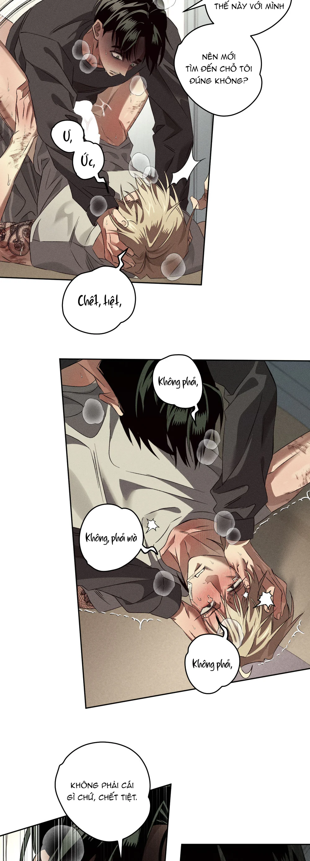 ANH EM TƯƠNG TÀN Chapter 12 - Next Chapter 13