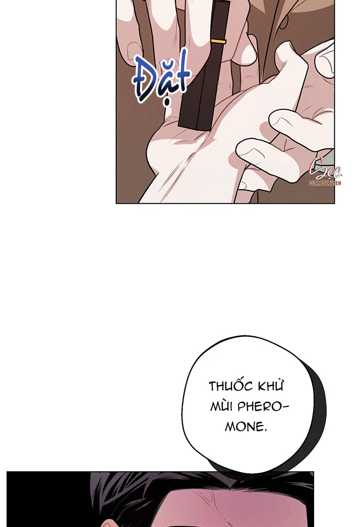 Accidental baby Chapter 9 - Next Chapter 10