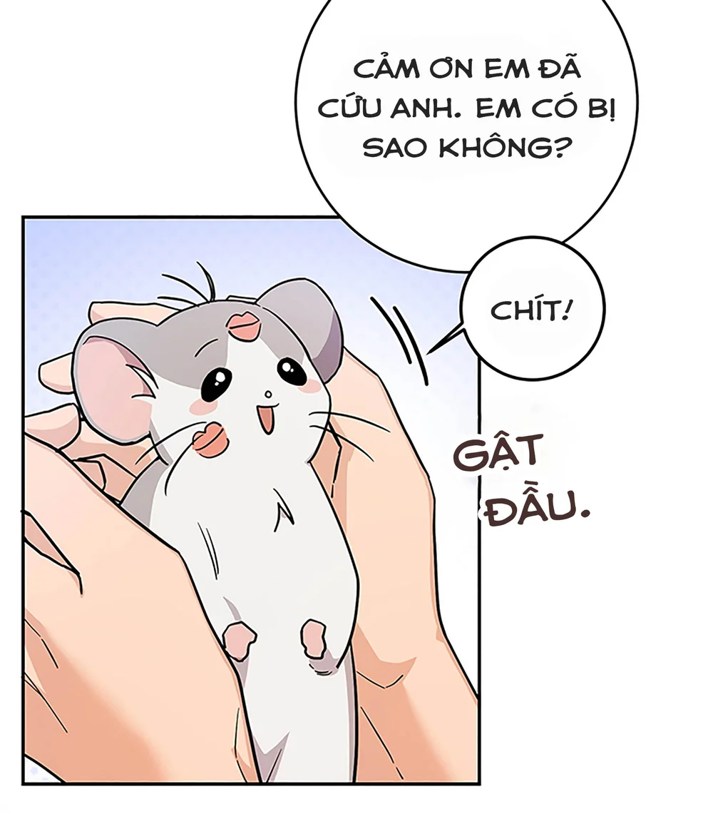 Chú Chuột Của Tôi Là Người Thức Tỉnh Cấp S Chapter 3 - Next 