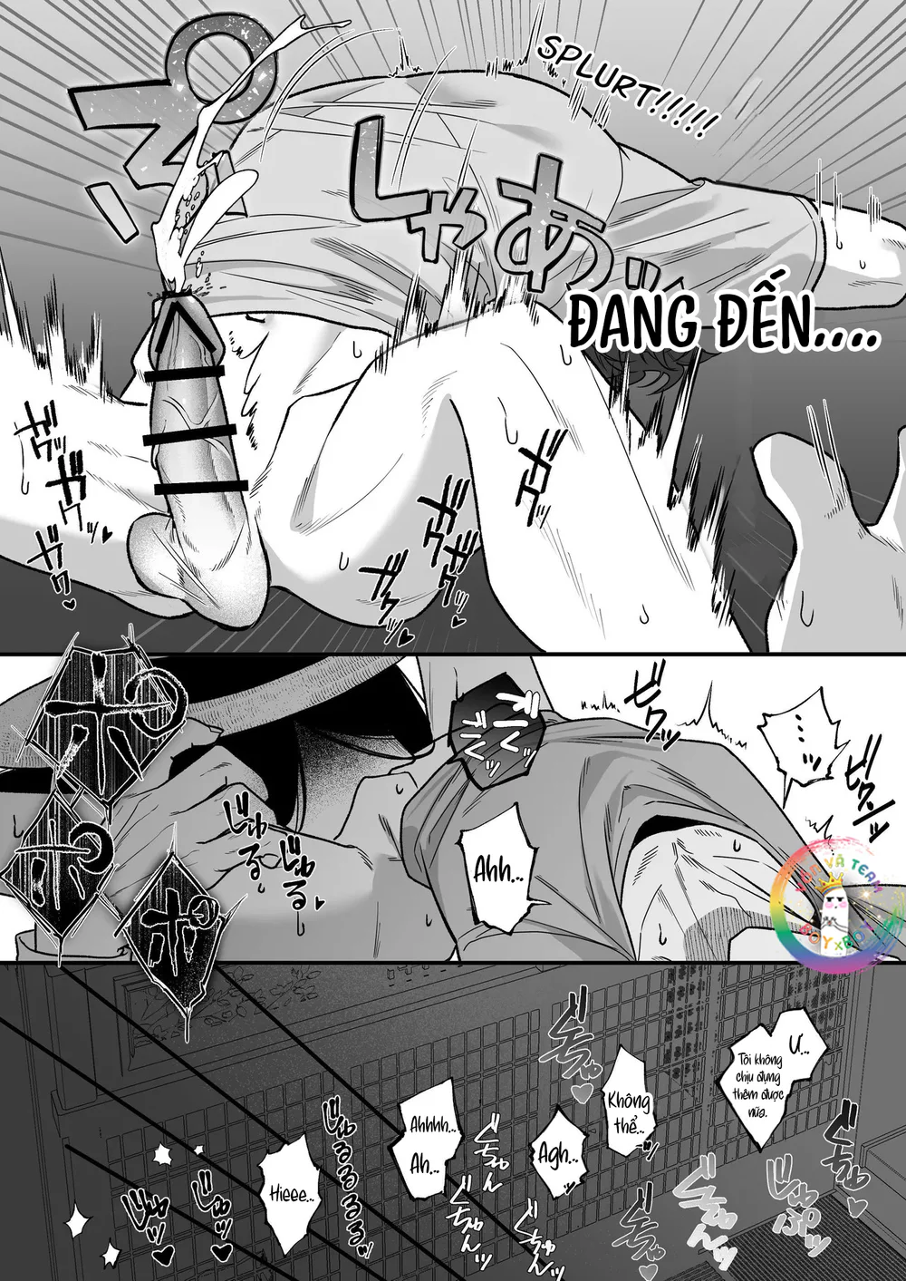 XÉ TÚI MÙ Chapter 17 Túi grape - Next Chapter 18 Túi acquy