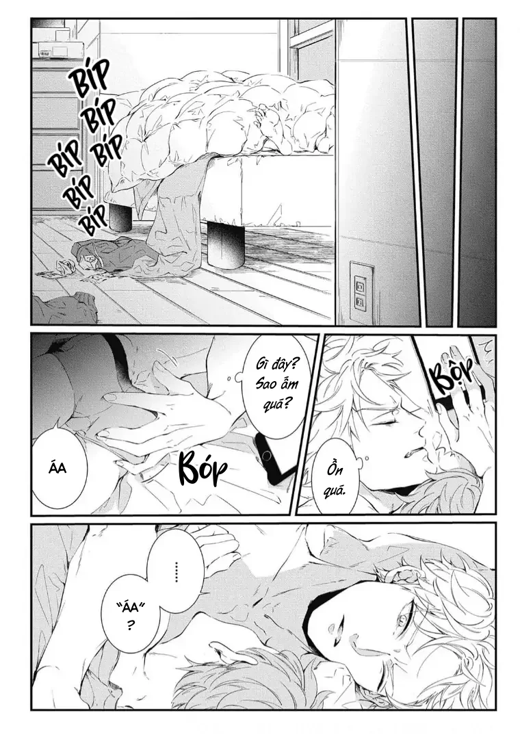 Chờ Anh Trên Giường Tối Nay Chapter 1 - Next Chapter 2