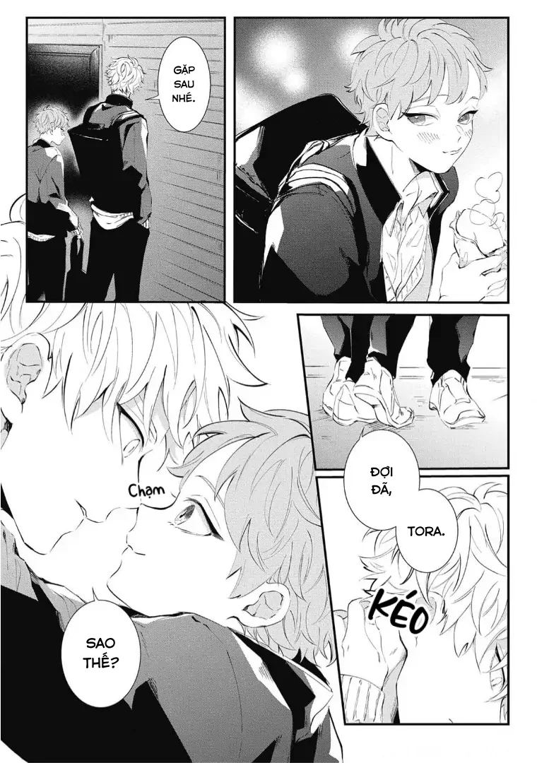 Chờ Anh Trên Giường Tối Nay Chapter 1 - Next Chapter 2