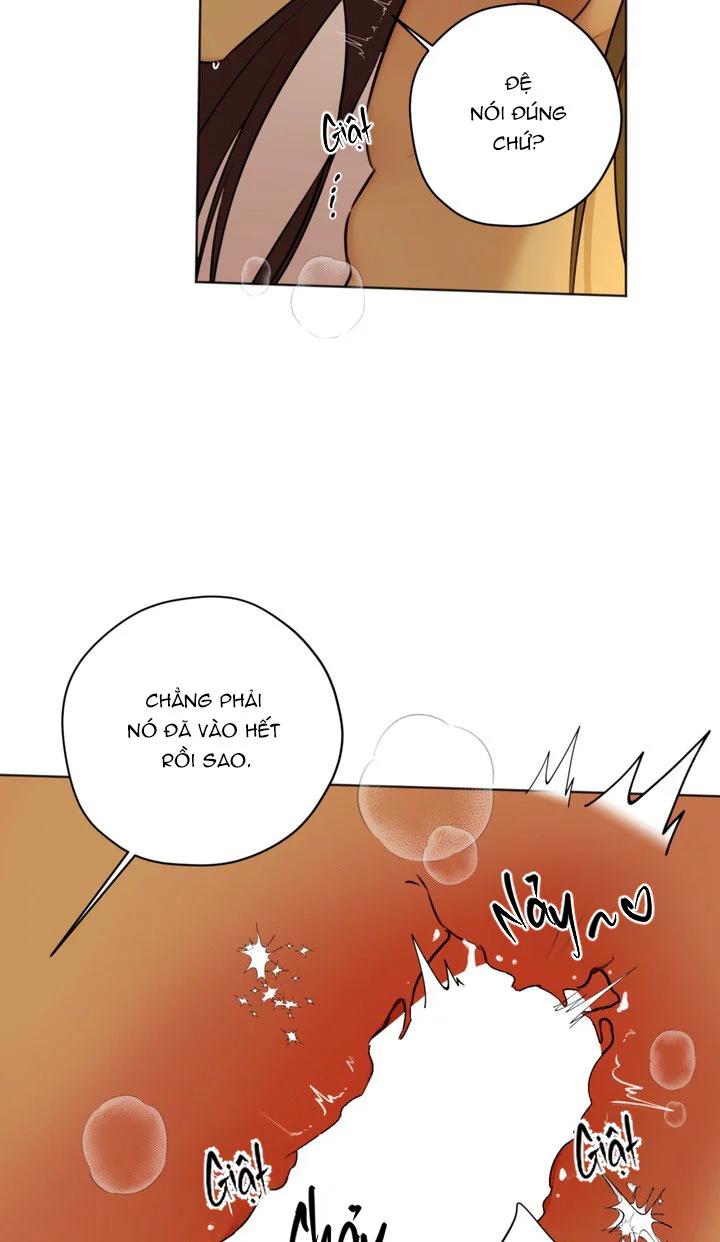 BL NGẮN LOẠN LUÂN - GIA ĐÌNH Chapter 14.5 hoán huyết end - Next 