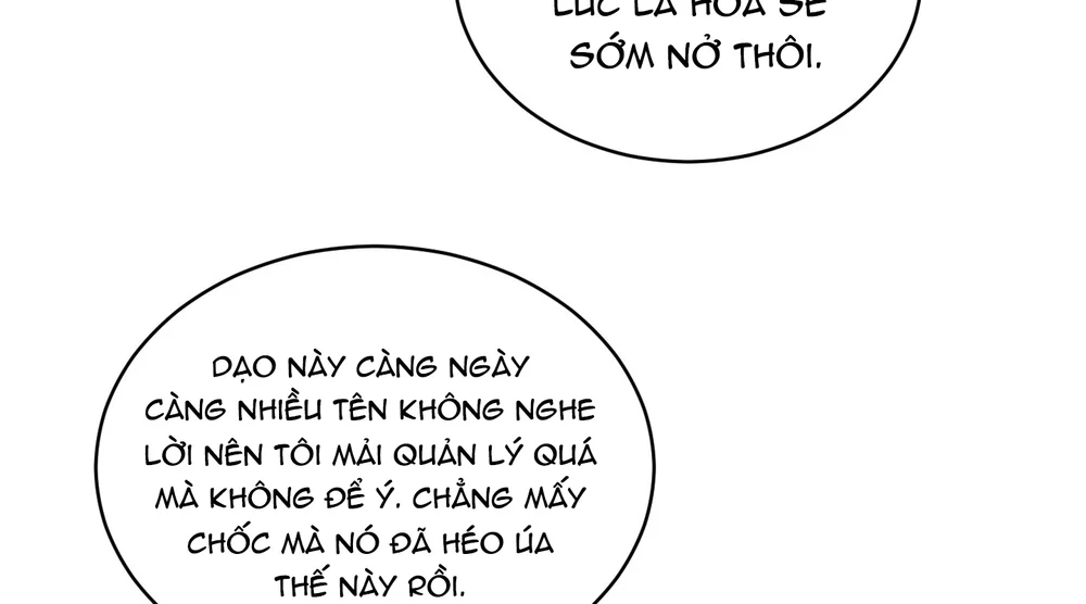 (ABO) When Life Gives You Tomatoes Chapter 1 - Next Chapter 2