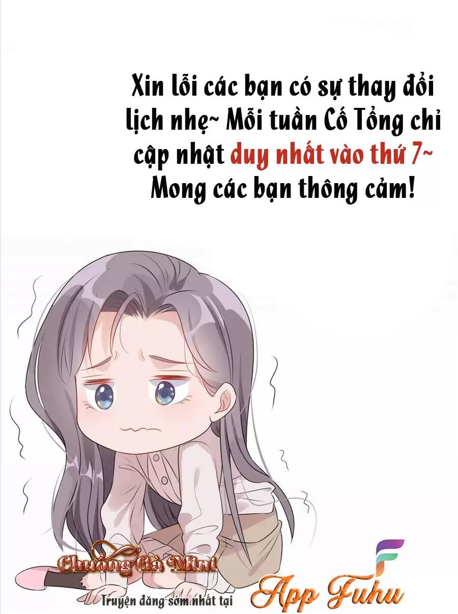 cố tổng, vợ của ngài quá mạnh rồi! chapter 78 - Next Chapter 79