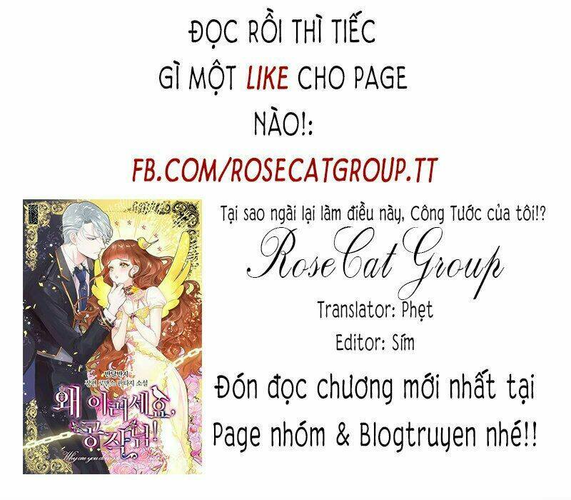 công tước, loạn vừa thôi! Chapter 17 - Next Chapter 18