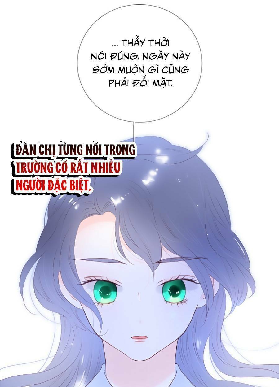 hoa bỏ chạy với nhím rồi chapter 81 - Next Chapter 81.1