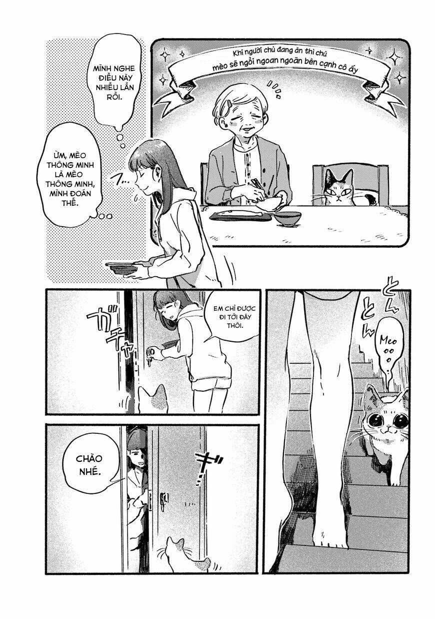 Nekodamari Chapter 13 - Next 