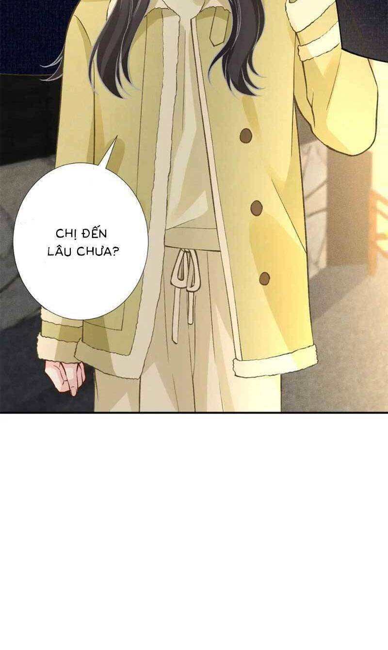 ôm khẩn tiểu mã giáp của tôi chương 242 - Next Chapter 242