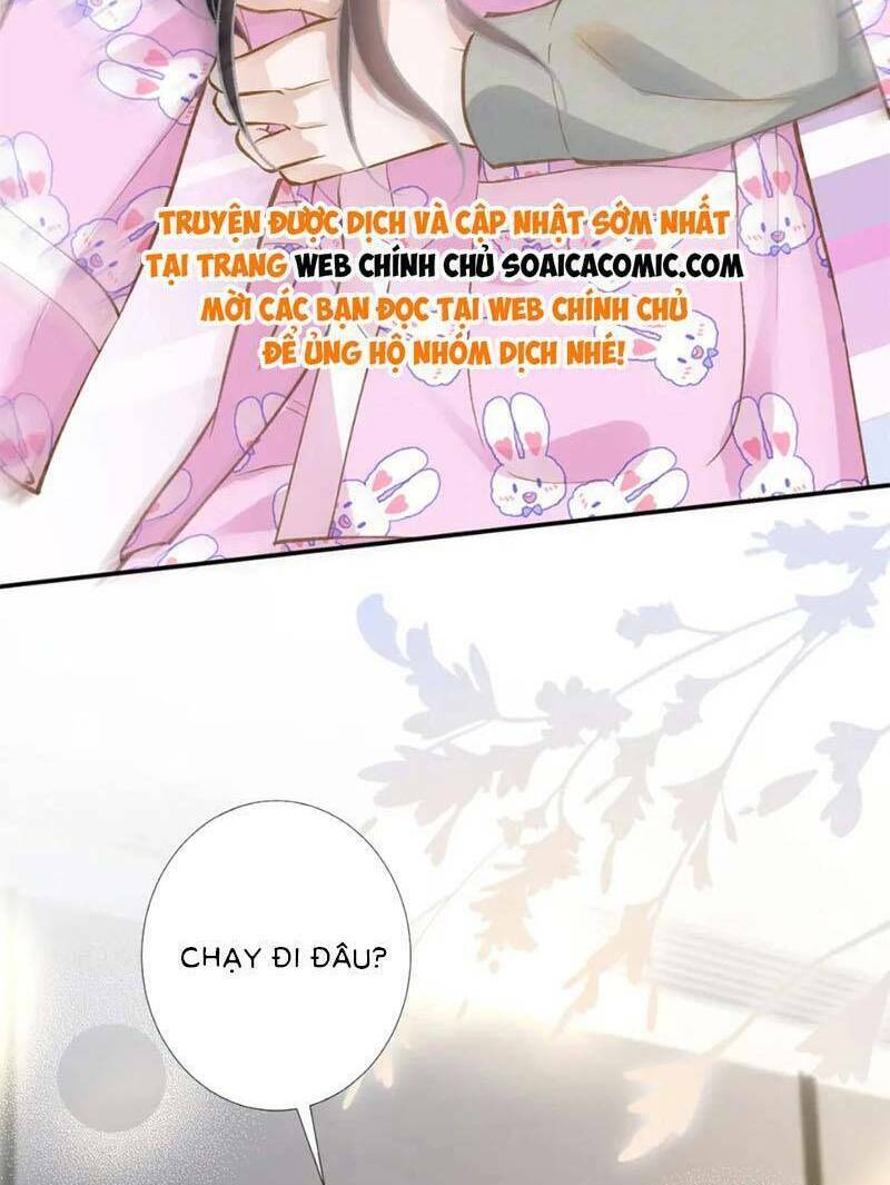 ôm khẩn tiểu mã giáp của tôi chương 246 - Next Chapter 246